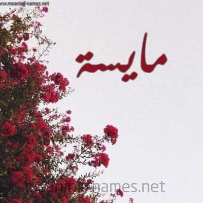 messo_diaa's profile picture. 