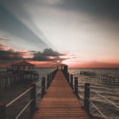 mohammad14003's profile picture. ツ تَـفاءلْ♥️