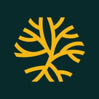 Metaroot (@metaroot_ch) 's Twitter Profile
