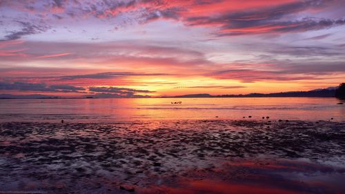 ut78's profile picture. 