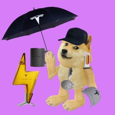 #SafeDogeCoin To The Moon 🌒. Adoption Of The Pets. Future Currency, Love, Smart contract, Wallets 
https://t.co/1fMNTTJhuD