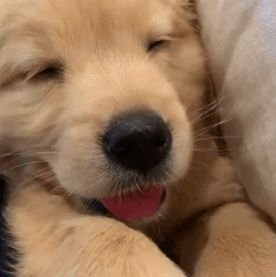 HJS22547603's profile picture. 