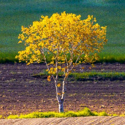 Nature photographer, based in Carinthia, Austria ... I take Photos of Nature and sometimes they turn out quite nice 📷
→ https://t.co/5HrcDvJVya