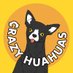 Crazy Huahuas 🐕 (@crazyhuahuasnft) Twitter profile photo Crazy Huahuas 🐕 (@crazyhuahuasnft) Twitter profile photo