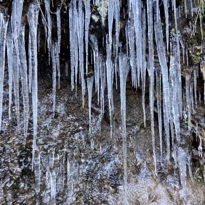 willwang896's profile picture. 