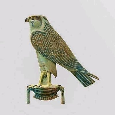 ماجستير القانون العام والخاص جامعه جنوب الوادي