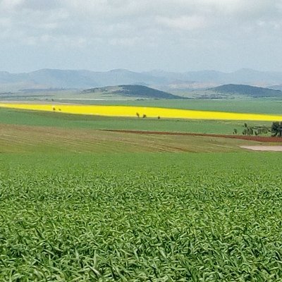 Jackiesyoks's profile picture. Live, laugh, 💕