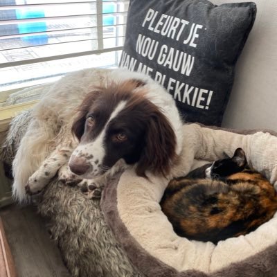 wagemaker10's profile picture. 