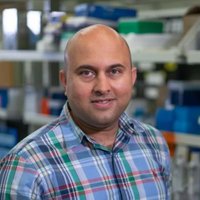 Nikhil Hebbar (@nikhilhebbar) 's Twitter Profile