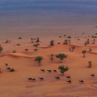 عبدالله القحطاني (@abdullah_5413) Twitter profile photo