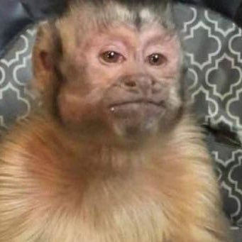 aeGpTJqlOmAq9Uw's profile picture. 