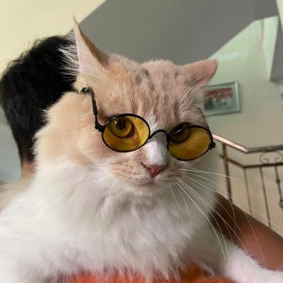 NAddrena's profile picture. Trust Allah, he have better plan for us 🕊