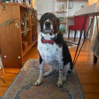 CpronouncedCee (@cpronouncedc) 's Twitter Profile