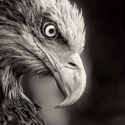 pullmyfinger440's profile picture. Husband, Father, Sports fan