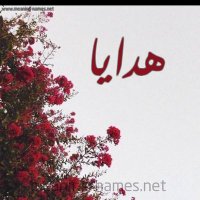 هدايا الرياض/مندوب ورد الرياض (@mandob222) 's Twitter Profile