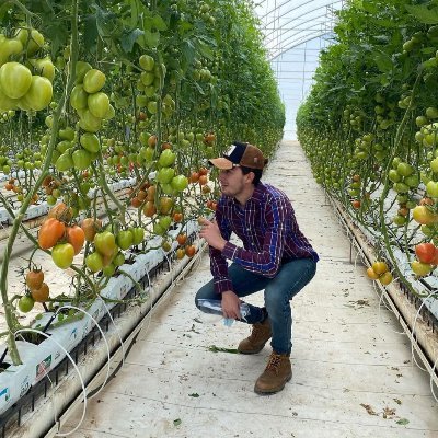 rosolano2's profile picture. 