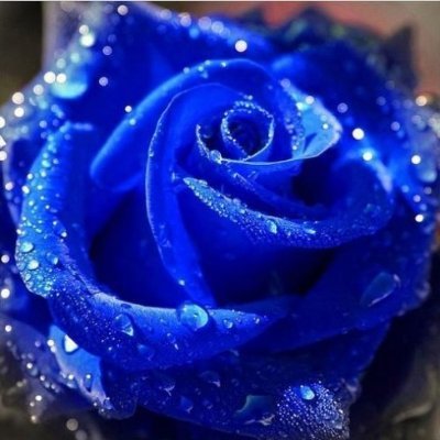 GailyRobynさんのプロフィール画像