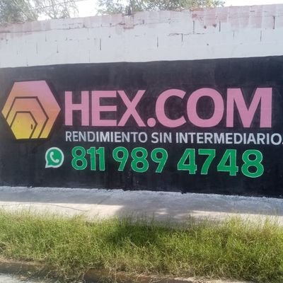 HEXcontactomty's profile picture. Not your keys not your cryoto