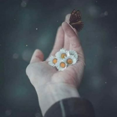 ALh2030rabi's profile picture. الحمدلله دائماً وابداً🌿🤍