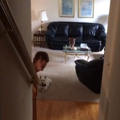 AustinShourd's profile picture. 