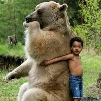 Que sera sera. (@albertbettered) 's Twitter Profile