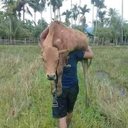 JOE BRAKE - @BobDragon3036 - Twitter