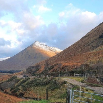 thetinyrebal's profile picture. A confused millennial