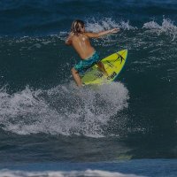 Ⓢⓤⓡⓕⓔⓡ (@rherdade) 's Twitter Profile