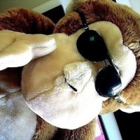 Mateus Leocádio (@mleocadio) 's Twitter Profile