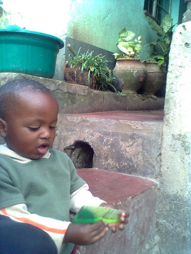 brightnicholas's profile picture. When you meet me you will know