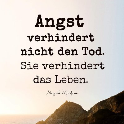 Bruni18132113's profile picture. Nutze Twitter seit Dezember '21 hauptsächlich als Informationsquelle und bin sehr glücklich darüber, dass sich hier so viele integere Menschen tummeln.