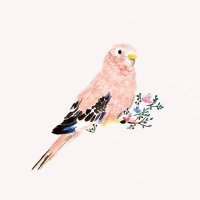 هناي (@ihanay3) 's Twitter Profile