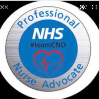 Professional Nurse Advocates (PNA’s) within Adult Critical Care at Nottingham University Hospitals Team