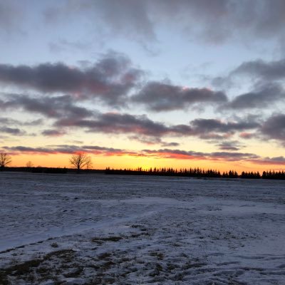 rod_sayers's profile picture. 