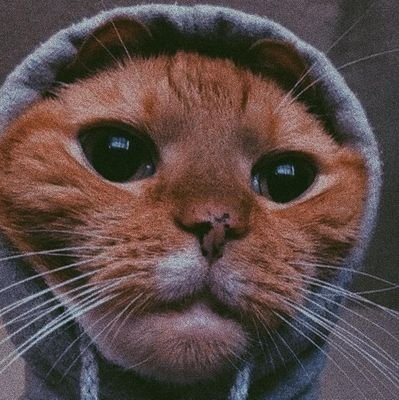 BluE_LouZ's profile picture. ~21 y/o