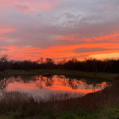 LoupChad's profile picture. 