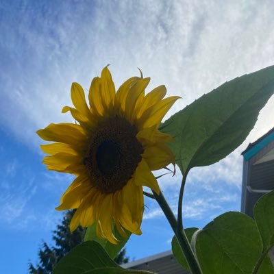 islandteacher80's profile picture. Human and pet mom, wife, educator. Here for the sass. she/her