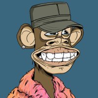 Mutant Invasion (@invasionmutant) 's Twitter Profile