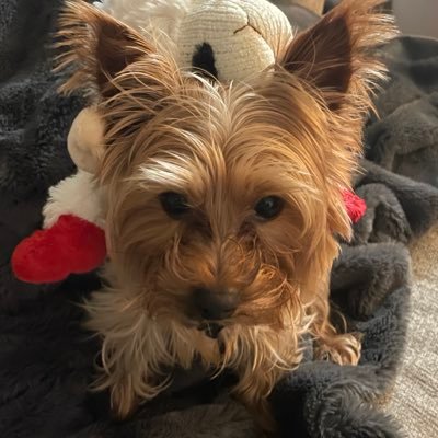 0nKl0ud9's profile picture. Insert cliche twitter profile quote here 🏳️‍🌈🏳️‍🌈