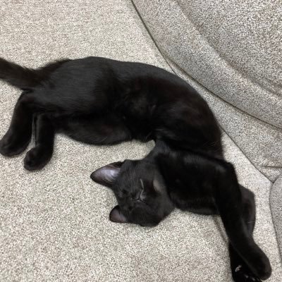 ちびっと Erehinahana Twitter
