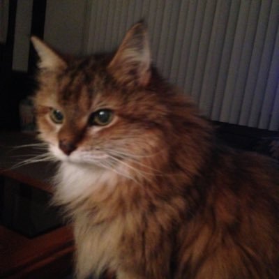 danny_dbelliv's profile picture. I have my opinion it’s sometimes the opposite but right