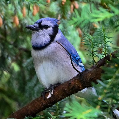 sygdesigns's profile picture. Part time photographer & full time mom.