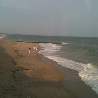 sdbradshaw's profile picture. 