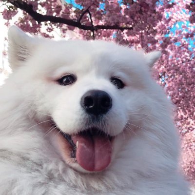 DepressedRS's profile picture. rsn: depressed