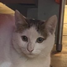 tkp_0803's profile picture. J2