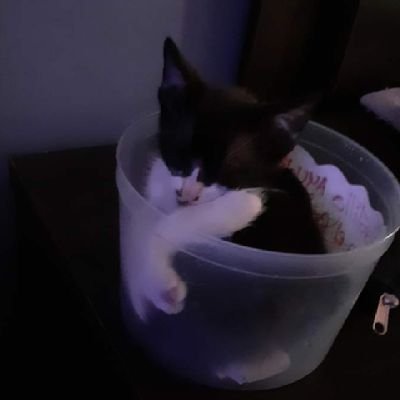 giuuli81's profile picture. de escorpio como dicaprio