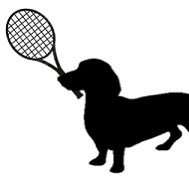 Just a dog who likes tennis. Plays tweeted daily! #GamblingTwitter #Tennis