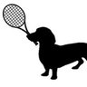 TennDogg950's profile picture. Just a dog who likes tennis. Plays tweeted daily! #GamblingTwitter #Tennis