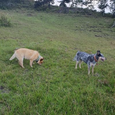 Aconsueg's profile picture. 