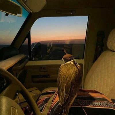 im65509505's profile picture. 